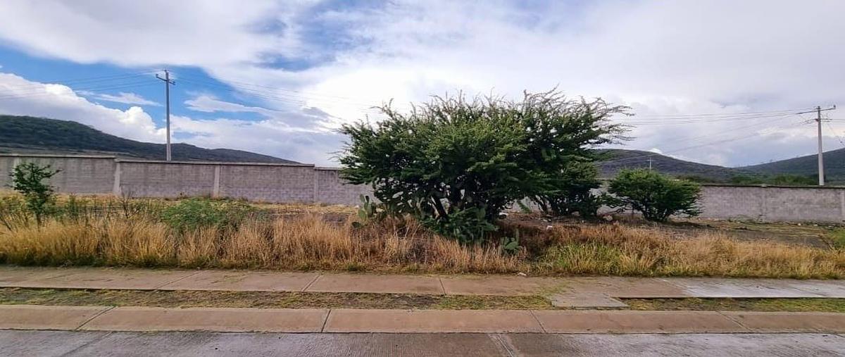 Foto de terreno habitacional en venta en el encino , el peral, huimilpan, querétaro, 0 No. 05