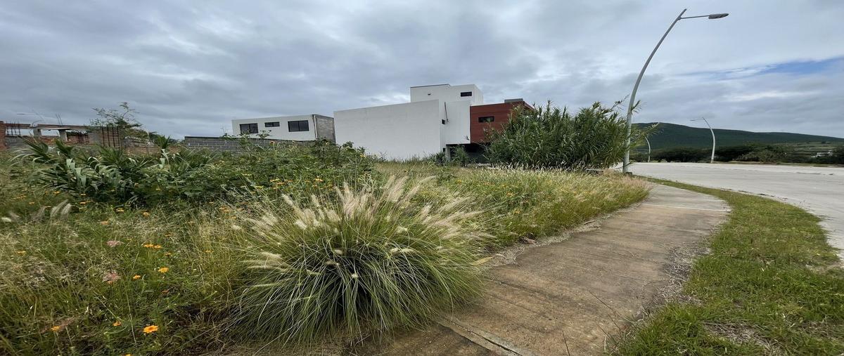 Foto de terreno habitacional en el encino , huimilpan centro, huimilpan, querétaro, 0 foto 05 Foto de terreno habitacional en venta en el encino , huimilpan centro, huimilpan, querétaro, 0 No. 05