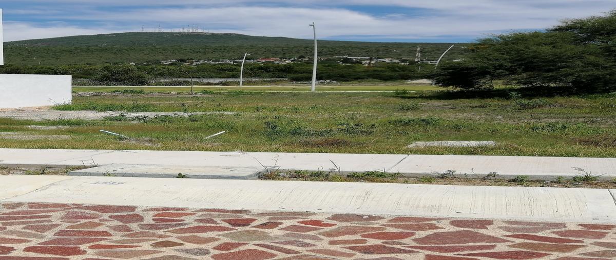 Foto de terreno habitacional en el encino residencial , la noria, huimilpan, querétaro, 0 foto 03 Foto de terreno habitacional en venta en el encino residencial , la noria, huimilpan, querétaro, 0 No. 03