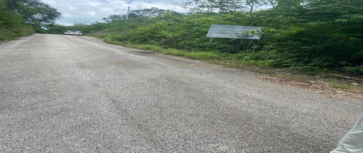 Foto de terreno habitacional en venta en  , el escondido, tzucacab, yucatán, 0 No. 05