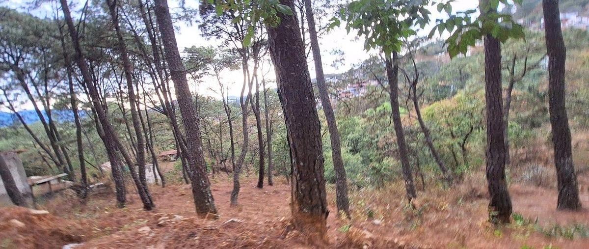 Foto de terreno habitacional en venta en el espinazo , valle de bravo, valle de bravo, méxico, 0 No. 04