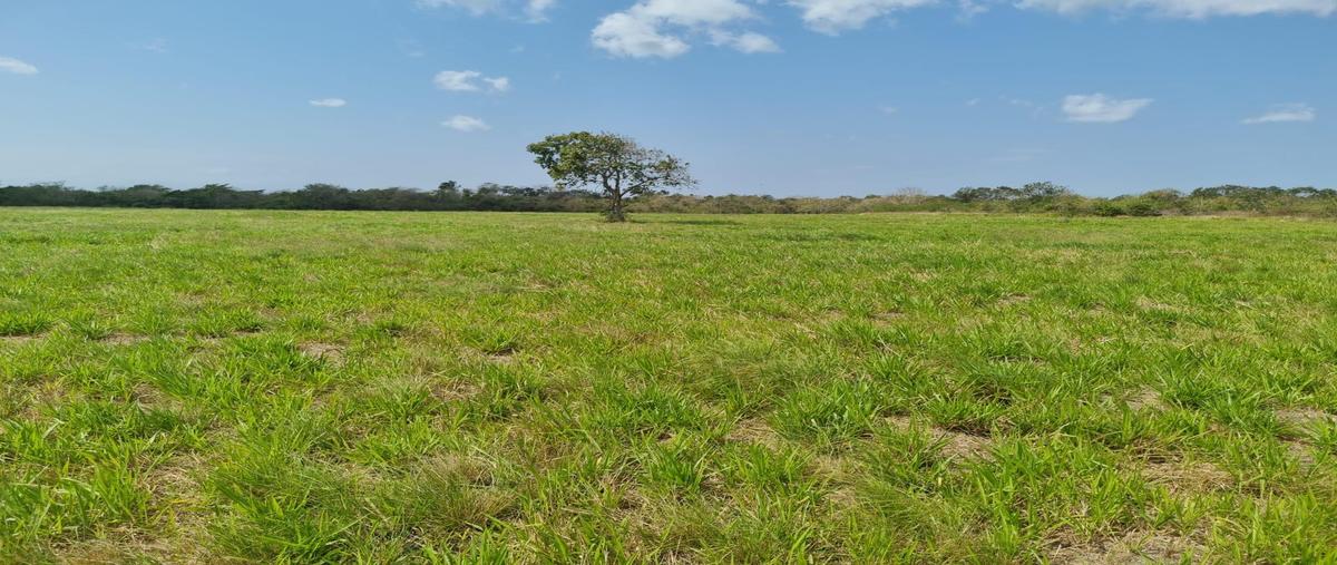 Foto de terreno habitacional en venta en  , el estero, boca del río, veracruz de ignacio de la llave, 0 No. 03