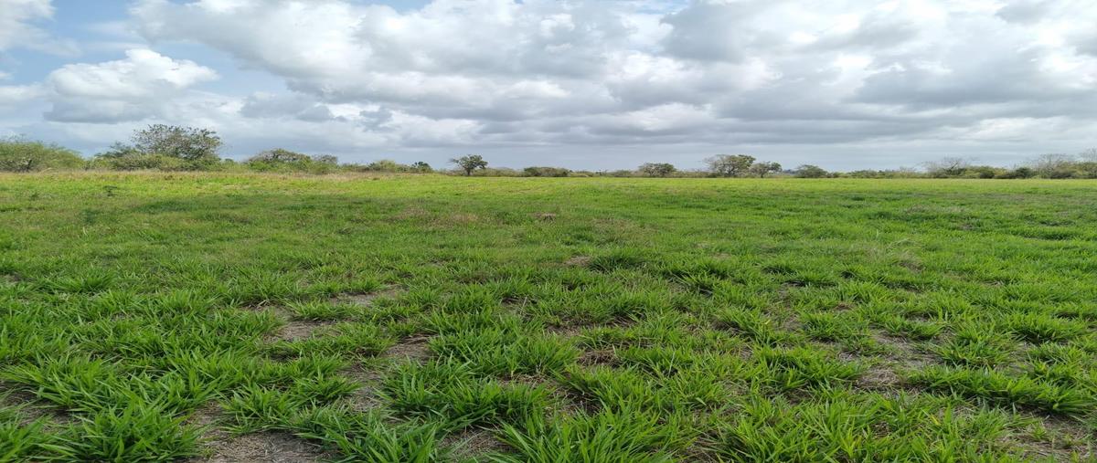 Foto de terreno habitacional en venta en  , el estero, boca del río, veracruz de ignacio de la llave, 0 No. 04