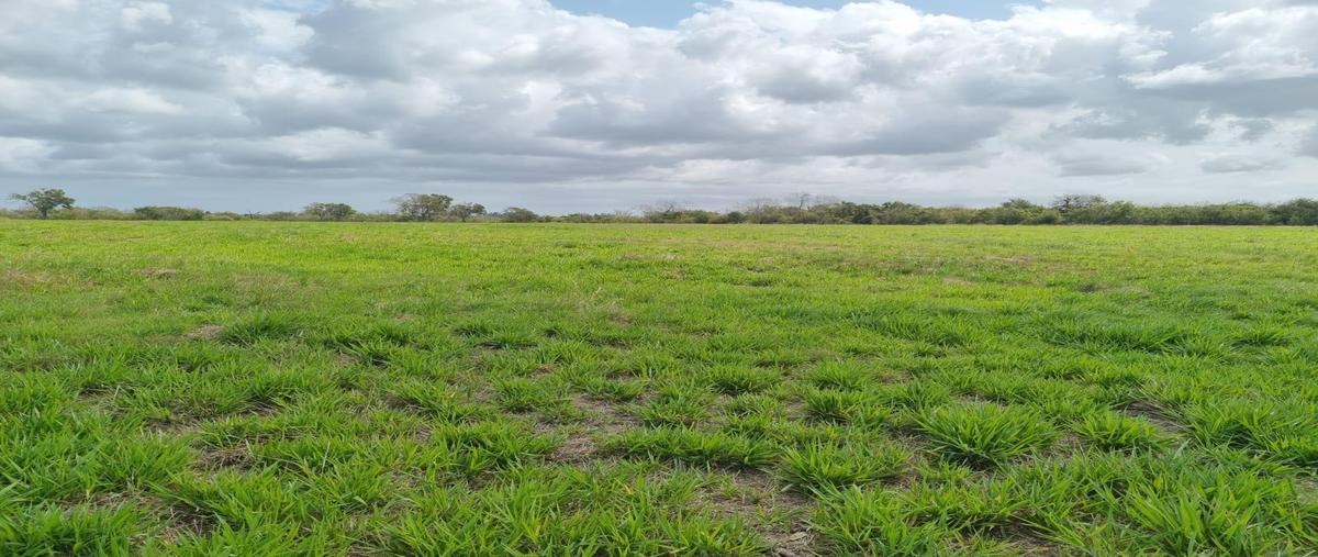 Foto de terreno habitacional en venta en  , el estero, boca del río, veracruz de ignacio de la llave, 0 No. 05