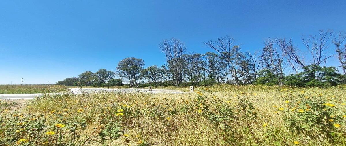 Foto de terreno habitacional en venta en el faro de los cisnes , el batan, corregidora, querétaro, 0 No. 04