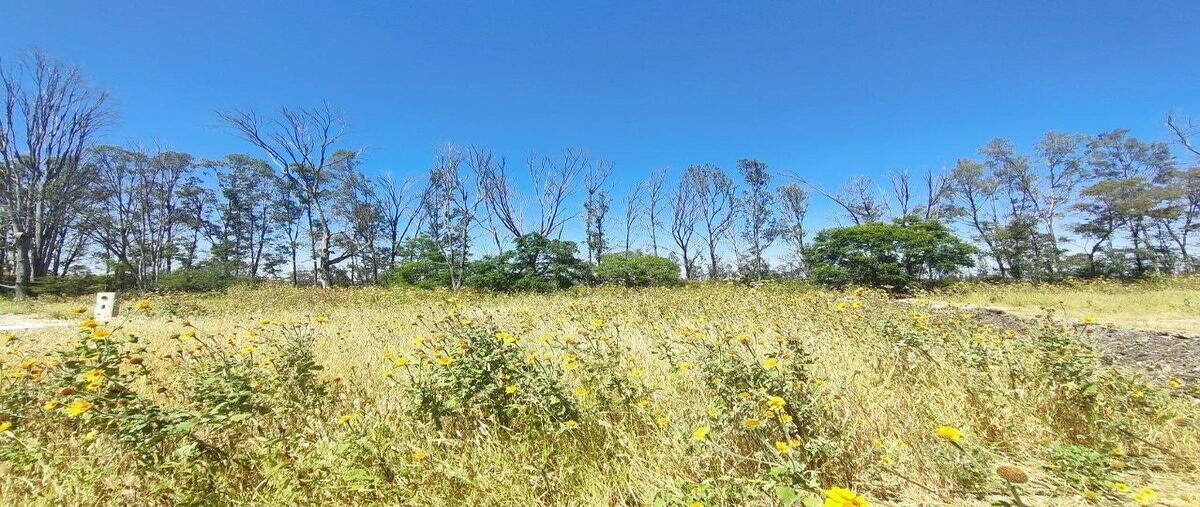 Foto de terreno habitacional en venta en el faro de los cisnes , el batan, corregidora, querétaro, 0 No. 05