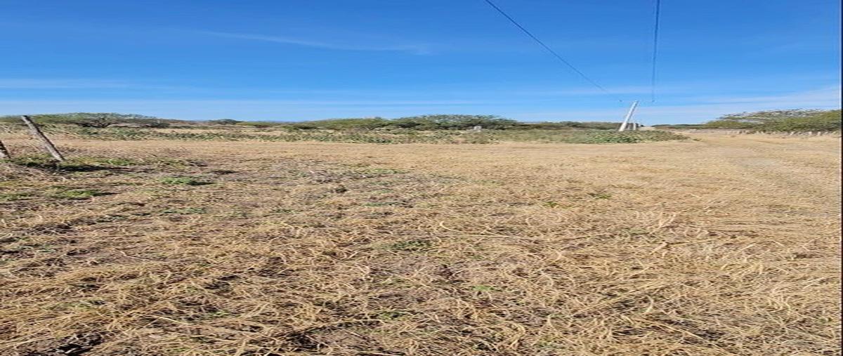 Foto de terreno habitacional en venta en el fraile , el fraile, montemorelos, nuevo león, 27796337 No. 03