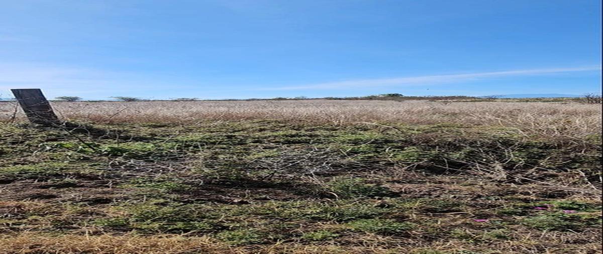 Foto de terreno habitacional en venta en el fraile , el fraile, montemorelos, nuevo león, 27796337 No. 04