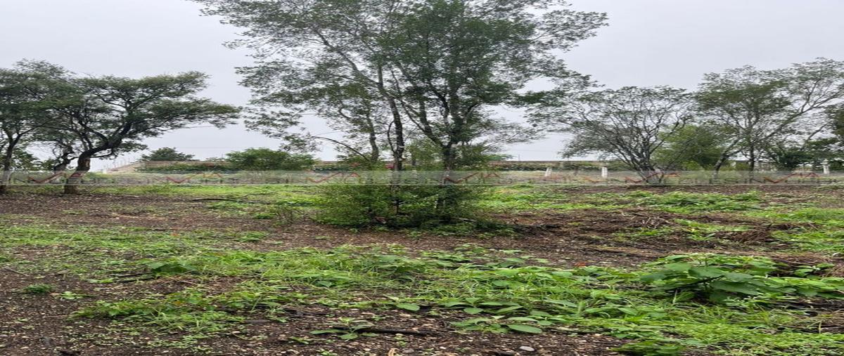 Foto de terreno habitacional en el fraile , el fraile, montemorelos, nuevo león, 0 foto 01 Foto de terreno habitacional en venta en el fraile , el fraile, montemorelos, nuevo león, 0 No. 01