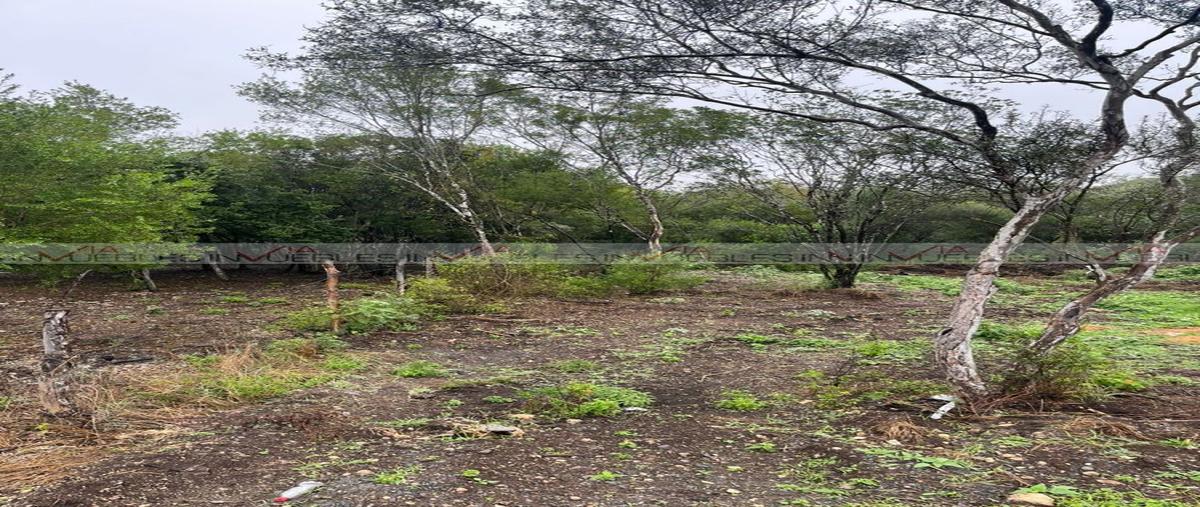 Foto de terreno habitacional en el fraile , el fraile, montemorelos, nuevo león, 0 foto 04 Foto de terreno habitacional en venta en el fraile , el fraile, montemorelos, nuevo león, 0 No. 04