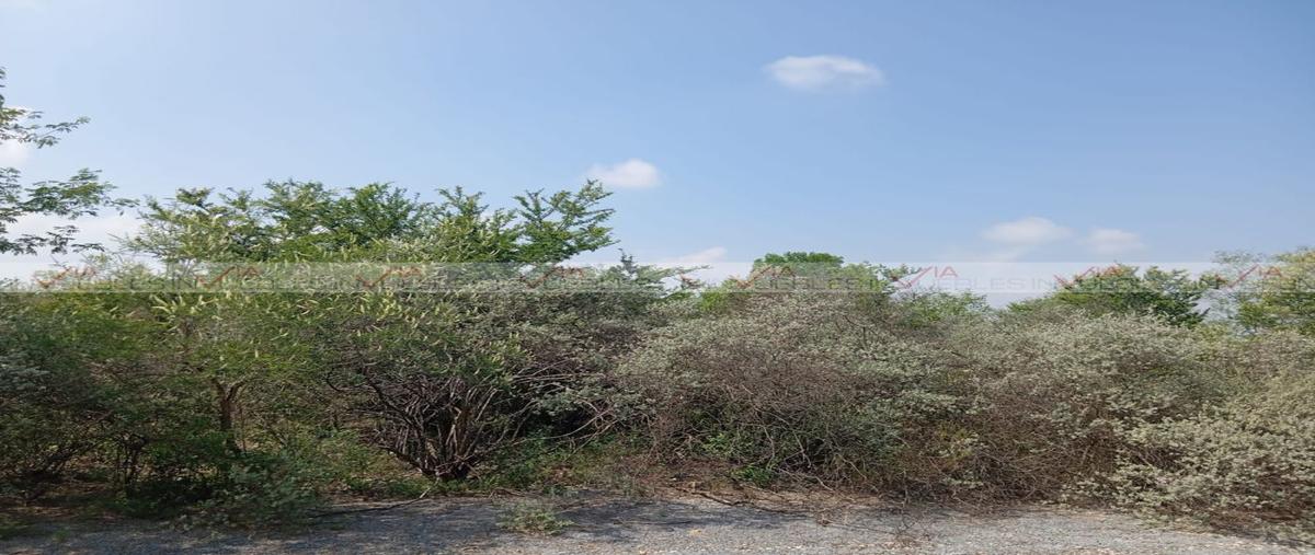 Foto de terreno habitacional en venta en el fraile , el fraile, montemorelos, nuevo león, 0 No. 04