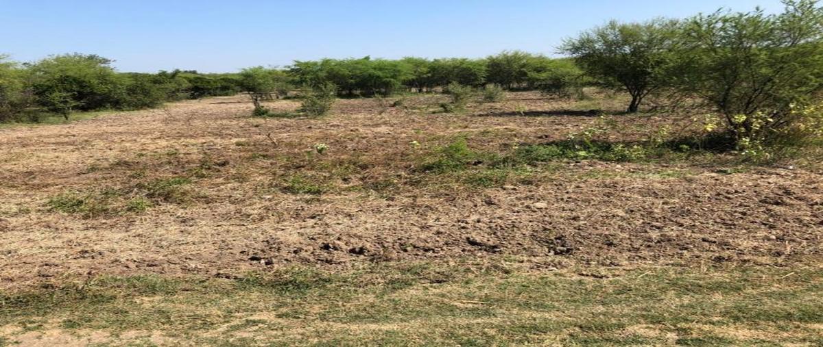 Foto de terreno habitacional en venta en  , el fraile, montemorelos, nuevo león, 25944107 No. 05