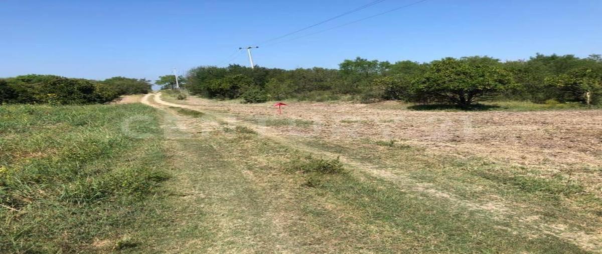 Foto de terreno habitacional en venta en  , el fraile, montemorelos, nuevo león, 0 No. 03