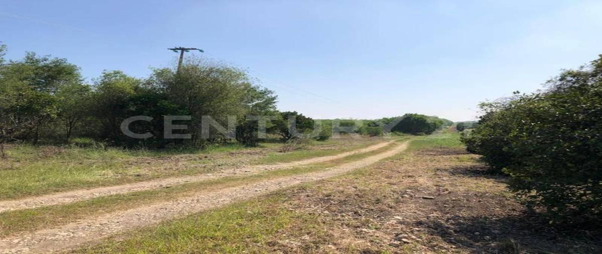 Foto de terreno habitacional en venta en  , el fraile, montemorelos, nuevo león, 0 No. 04