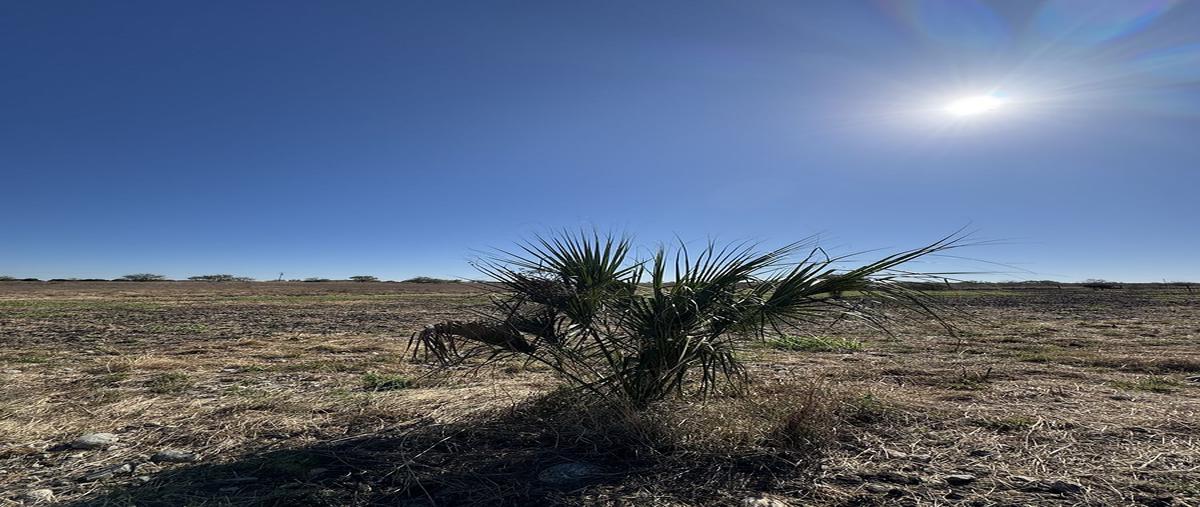 Foto de terreno habitacional en venta en  , el fraile, montemorelos, nuevo león, 0 No. 04