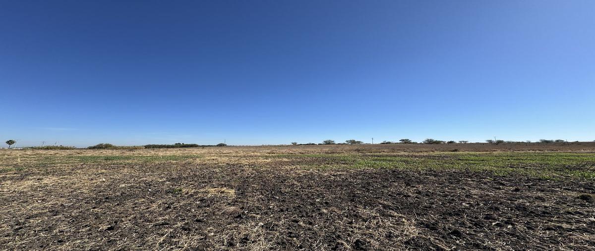 Foto de terreno habitacional en venta en  , el fraile, montemorelos, nuevo león, 0 No. 05