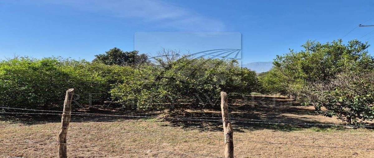 Foto de terreno habitacional en venta en  , el fraile, montemorelos, nuevo león, 0 No. 03
