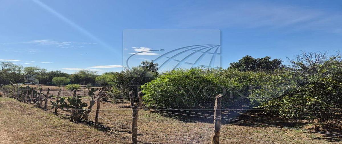 Foto de terreno habitacional en venta en  , el fraile, montemorelos, nuevo león, 0 No. 04