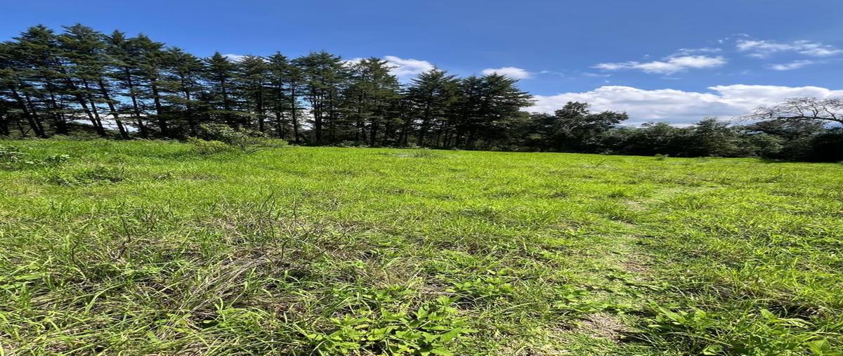 Foto de terreno habitacional en el fresno , el fresno, valle de bravo, méxico, 29076793 foto 02 Foto de terreno habitacional en venta en el fresno , el fresno, valle de bravo, méxico, 29076793 No. 02