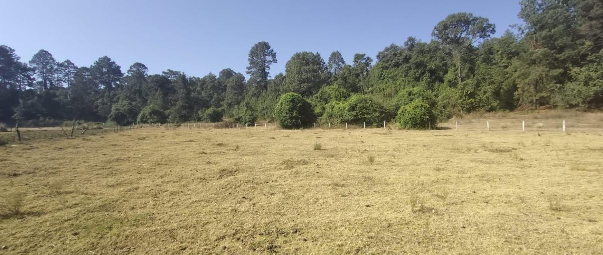 Foto de terreno habitacional en , el fresno, valle de bravo, méxico, 0 foto 01 Foto de terreno habitacional en venta en , el fresno, valle de bravo, méxico, 0 No. 01