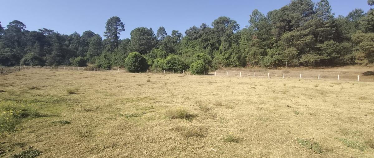 Foto de terreno habitacional en , el fresno, valle de bravo, méxico, 0 foto 02 Foto de terreno habitacional en venta en , el fresno, valle de bravo, méxico, 0 No. 02