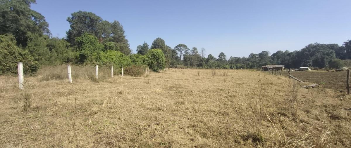 Foto de terreno habitacional en , el fresno, valle de bravo, méxico, 0 foto 05 Foto de terreno habitacional en venta en , el fresno, valle de bravo, méxico, 0 No. 05