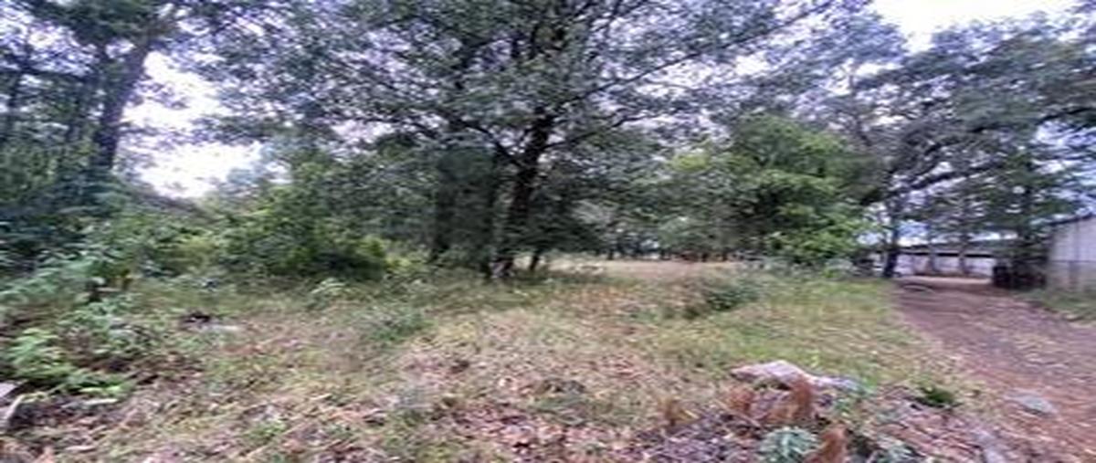 Foto de terreno habitacional en venta en  , el fresno, valle de bravo, méxico, 0 No. 05