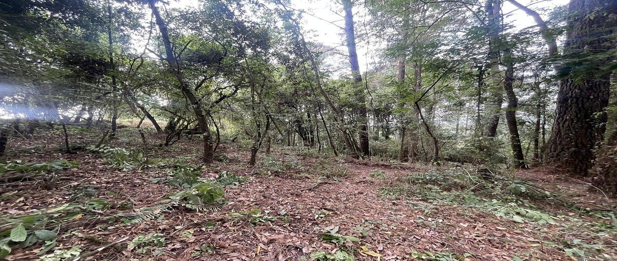 Foto de terreno habitacional en venta en  , el fresno, valle de bravo, méxico, 0 No. 03