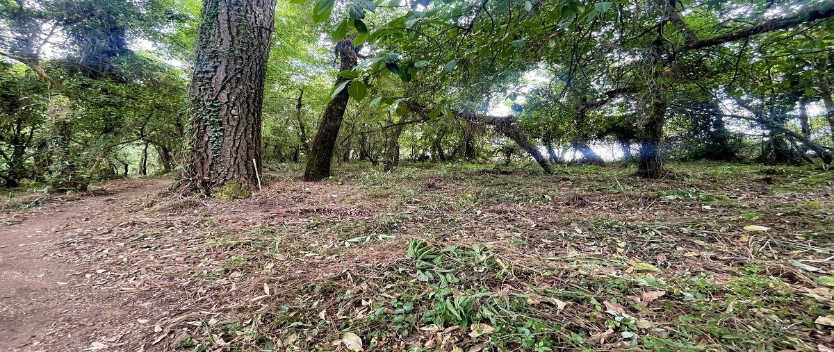 Foto de terreno habitacional en venta en  , el fresno, valle de bravo, méxico, 0 No. 04