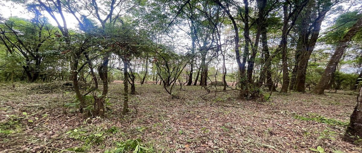 Foto de terreno habitacional en venta en  , el fresno, valle de bravo, méxico, 0 No. 05