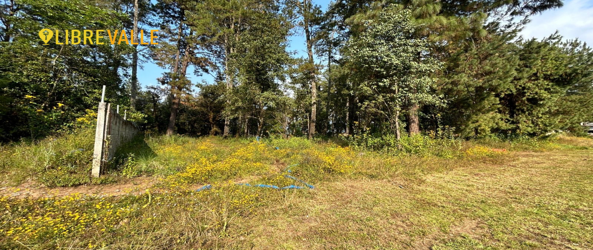 Foto de terreno habitacional en renta en el fresno , valle de bravo, valle de bravo, méxico, 0 No. 03
