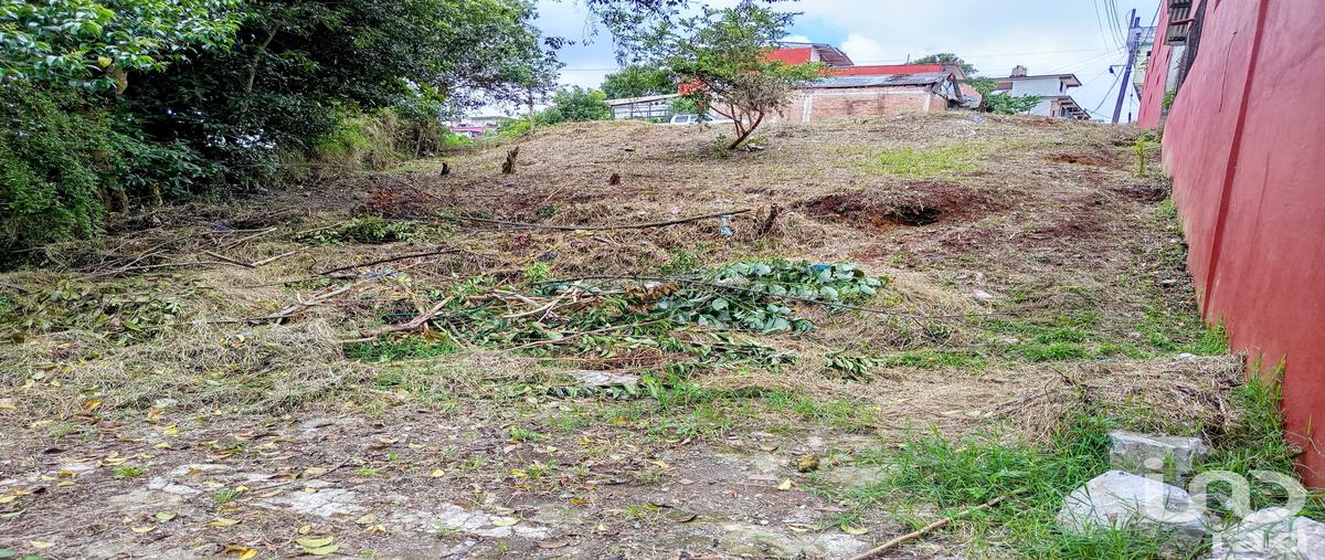 Foto de terreno habitacional en venta en el fresno y vista hermosa. , la mesita, huauchinango, puebla, 31485690 No. 05
