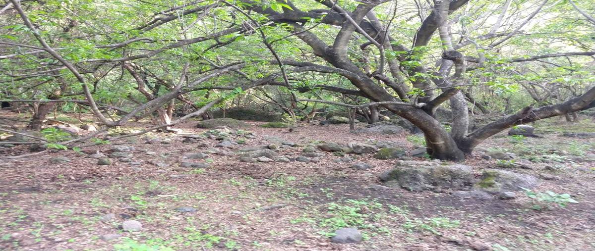 Foto de terreno habitacional en , el golan, tlayacapan, morelos, 0 foto 04 Foto de terreno habitacional en venta en , el golan, tlayacapan, morelos, 0 No. 04