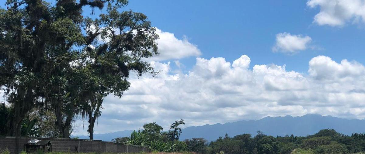 Foto de terreno habitacional en venta en  , el grande, coatepec, veracruz de ignacio de la llave, 0 No. 05