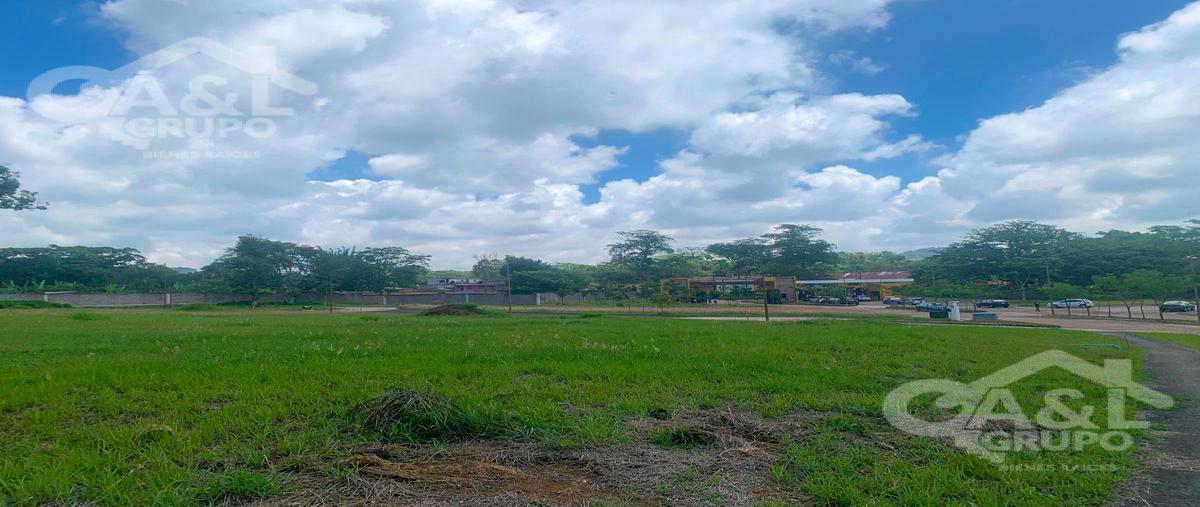 Foto de terreno habitacional en venta en  , el grande, coatepec, veracruz de ignacio de la llave, 21580665 No. 03