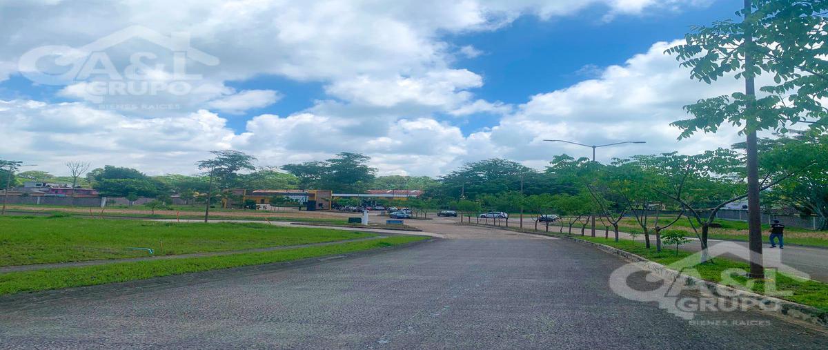 Foto de terreno habitacional en venta en  , el grande, coatepec, veracruz de ignacio de la llave, 21580665 No. 04