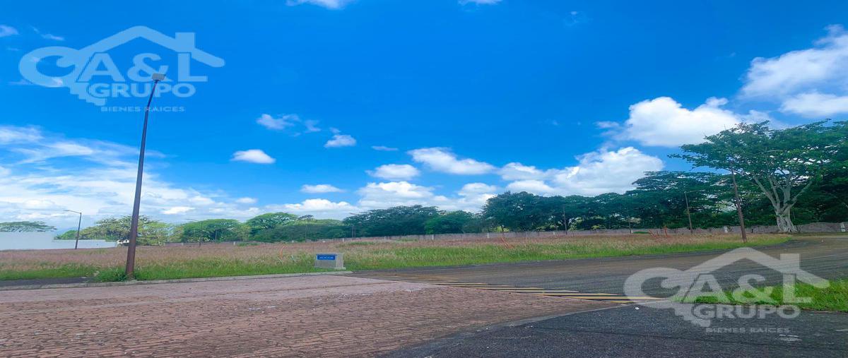 Foto de terreno habitacional en venta en  , el grande, coatepec, veracruz de ignacio de la llave, 21580665 No. 05