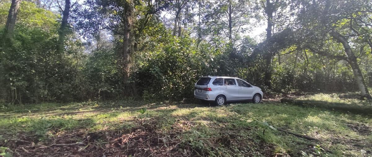 Foto de terreno habitacional en venta en  , el grande, coatepec, veracruz de ignacio de la llave, 0 No. 04