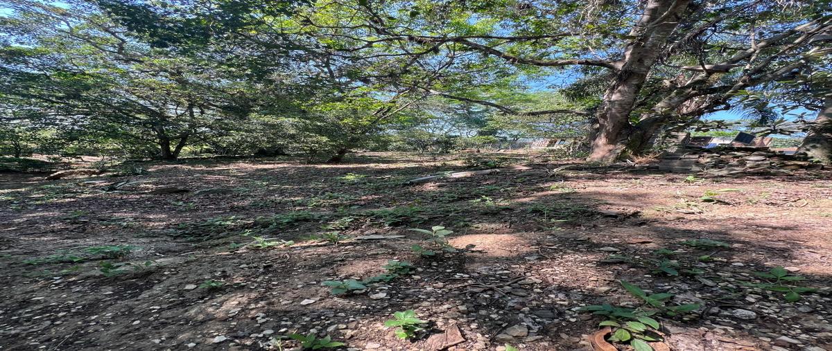 Foto de terreno habitacional en venta en  , el grande, coatepec, veracruz de ignacio de la llave, 0 No. 03