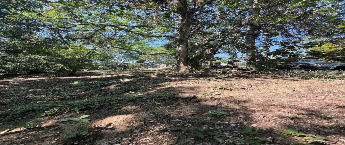 Foto de terreno habitacional en venta en  , el grande, coatepec, veracruz de ignacio de la llave, 0 No. 04