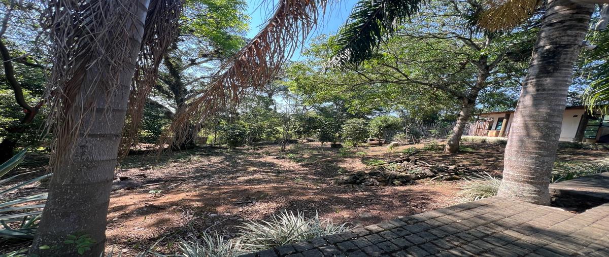 Foto de terreno habitacional en venta en  , el grande, coatepec, veracruz de ignacio de la llave, 0 No. 05