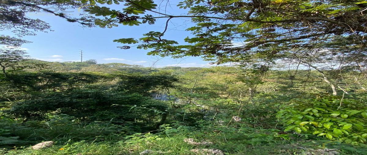 Foto de terreno habitacional en venta en  , el grande, coatepec, veracruz de ignacio de la llave, 0 No. 03