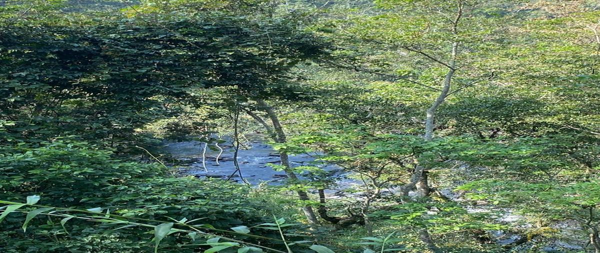Foto de terreno habitacional en venta en  , el grande, coatepec, veracruz de ignacio de la llave, 0 No. 04