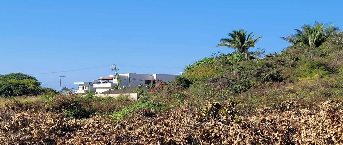 Foto de terreno habitacional en venta en  , el guamúchil, bahía de banderas, nayarit, 28958508 No. 03