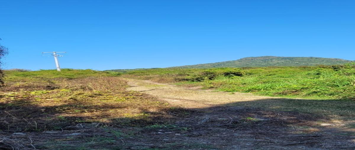 Foto de terreno habitacional en venta en  , el guamúchil, bahía de banderas, nayarit, 28958508 No. 04