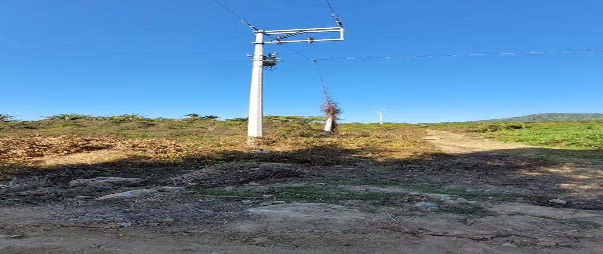 Foto de terreno habitacional en venta en  , el guamúchil, bahía de banderas, nayarit, 28958508 No. 05