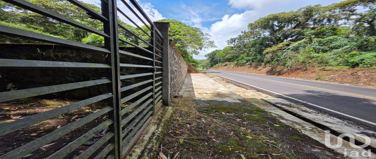 Foto de terreno habitacional en venta en el guayabal , briones, coatepec, veracruz de ignacio de la llave, 30328194 No. 04