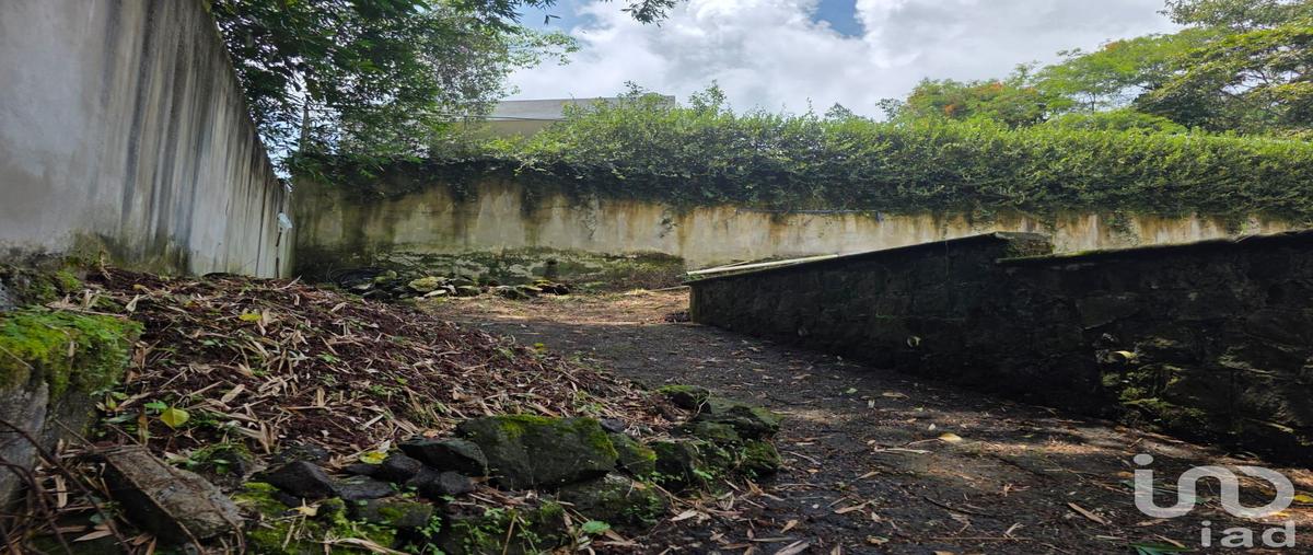 Foto de terreno habitacional en venta en el guayabal , briones, coatepec, veracruz de ignacio de la llave, 30328194 No. 05