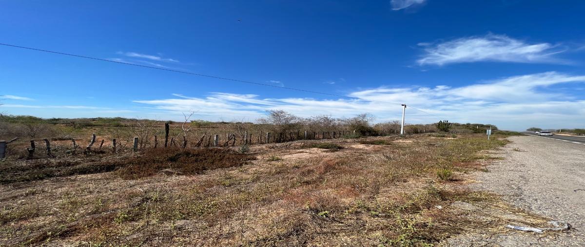 Foto de terreno habitacional en venta en  , el habal, mazatlán, sinaloa, 26100422 No. 04