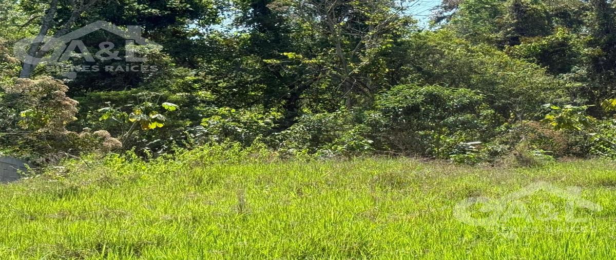 Foto de terreno habitacional en venta en  , el haya, xalapa, veracruz de ignacio de la llave, 31107839 No. 03